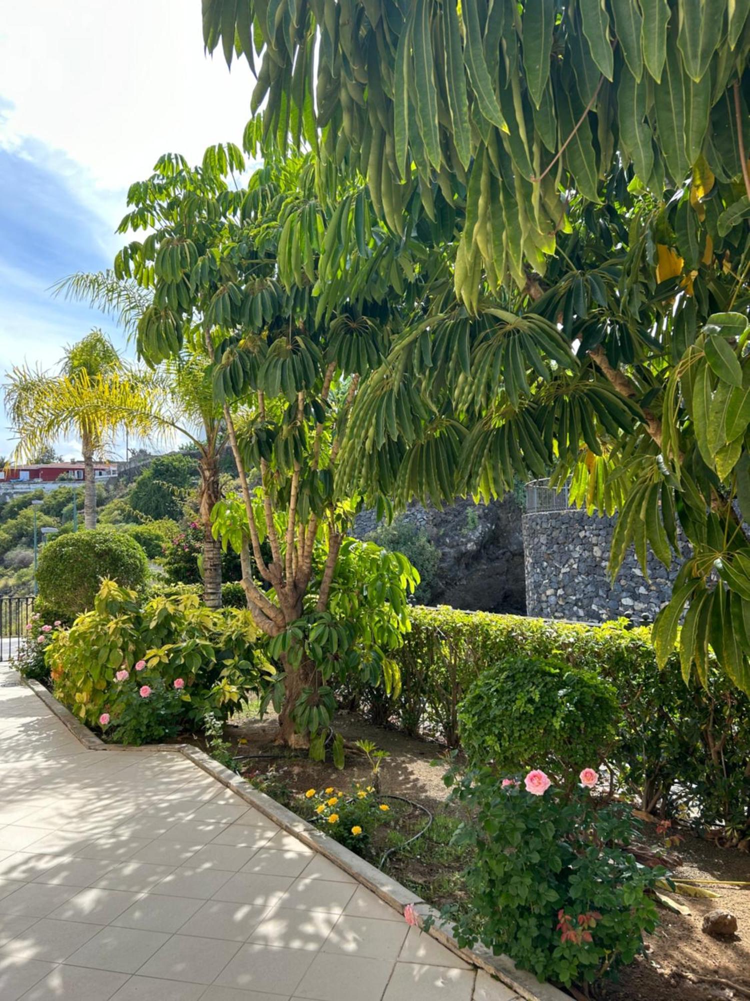 Hermosa Vista Puerto de la Cruz  Ngoại thất bức ảnh